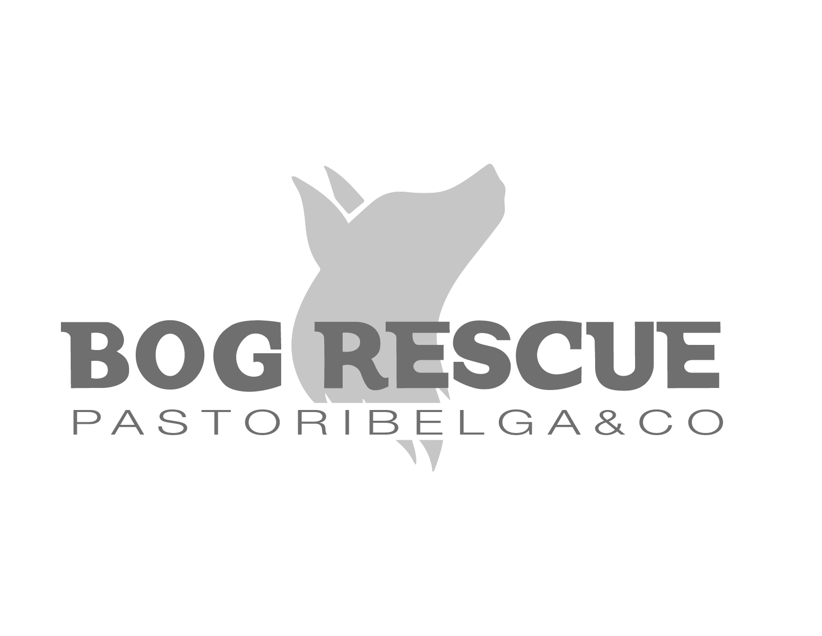 BOG Rescue