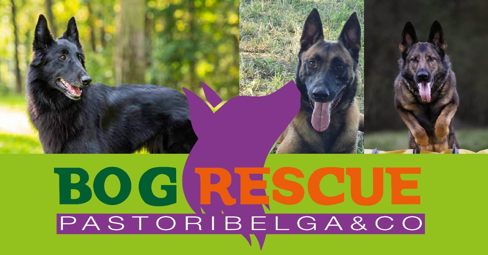 BOG Rescue