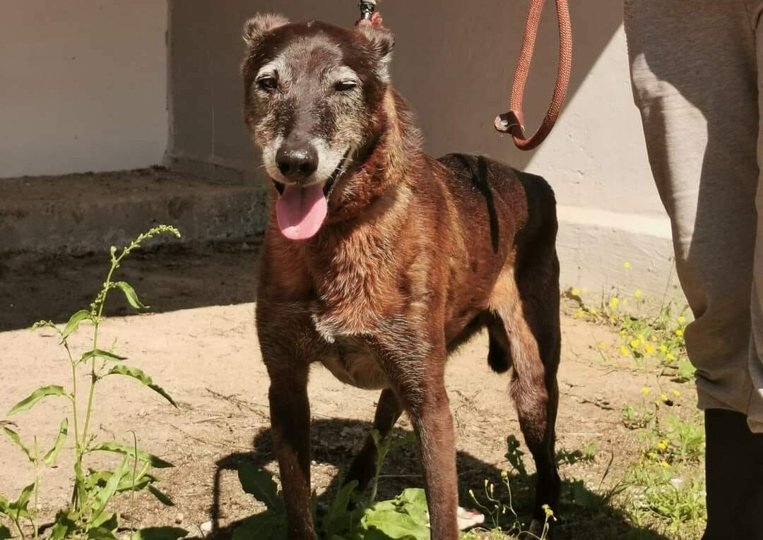 Nonno Black - 13/14 anni - Cosenza